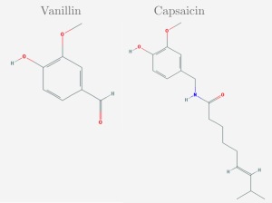 Capsaicin molecule
