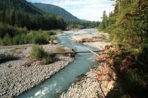 The Hoh River