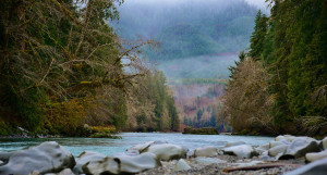 The Hoh River