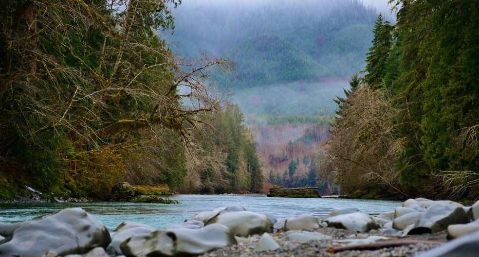 The Hoh River