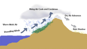 Diagram of the Rain Shadow Effect