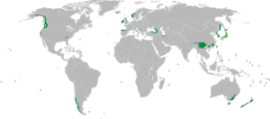 Global Distribution of Temperate Rainforests