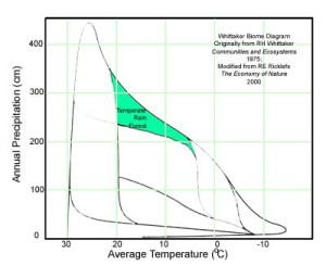 Temperature and precipitation conditions for a temperate rainforest